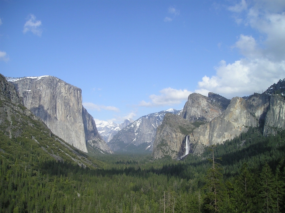 Wilderness mountain meadow view