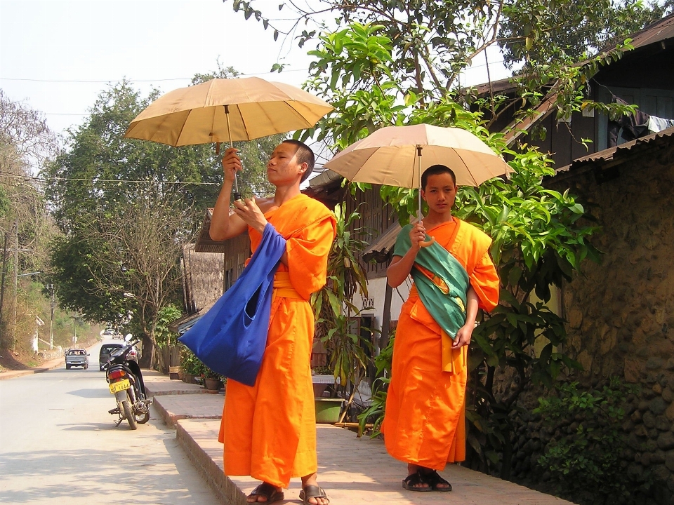 Orange asia tourism parasol