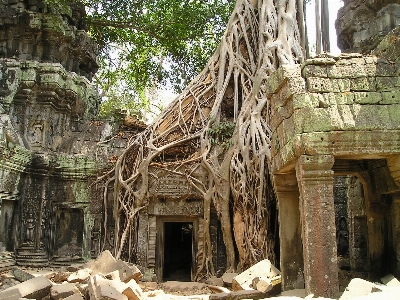 Foto Albero legna edificio vecchio