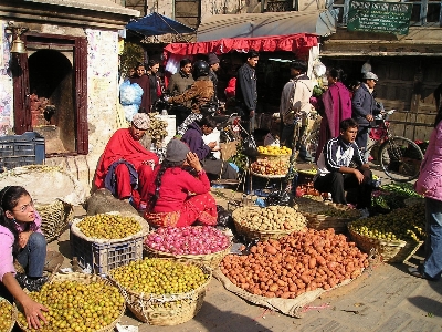 Fruit flower city food Photo