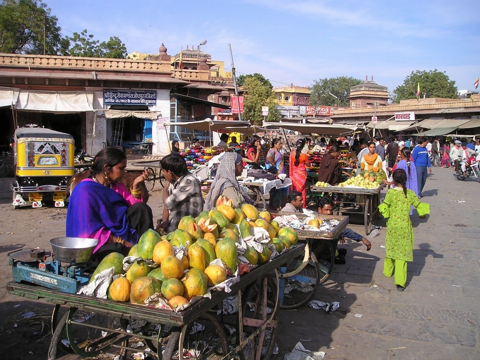 Buah bunga kota makanan