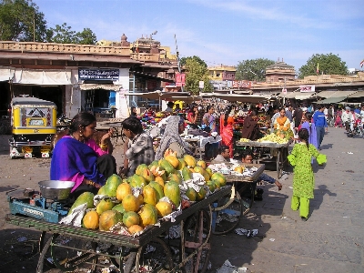 Fruit flower town city Photo