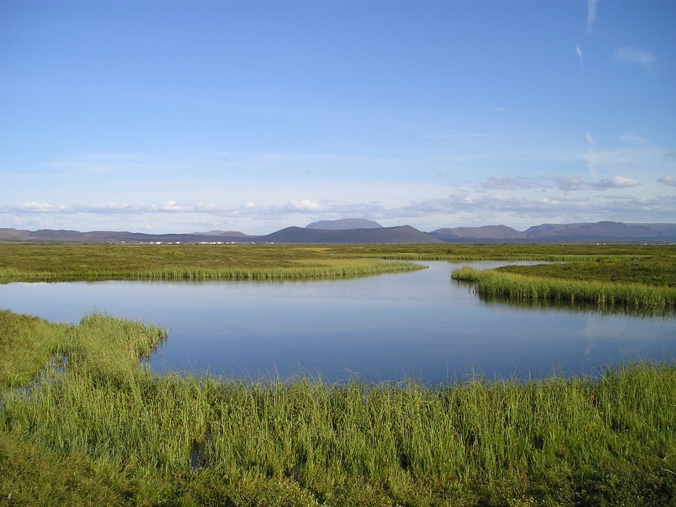 Landscape water nature marsh