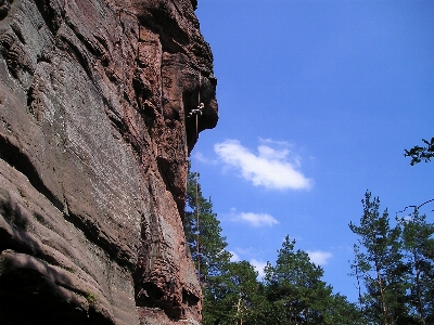 木 自然 rock 山 写真