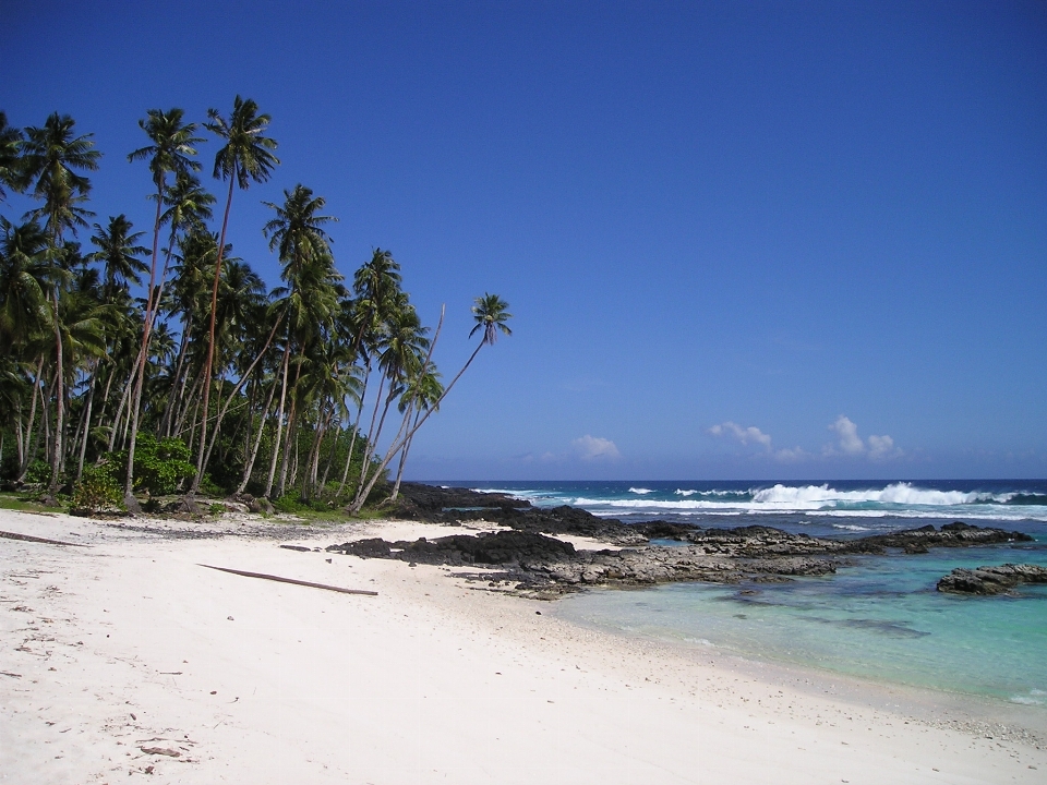 Beach sea coast sand