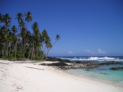 Beach sea coast sand Photo