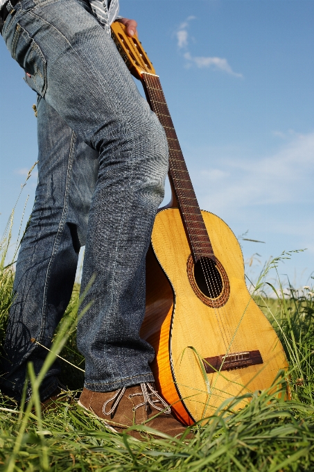 Main herbe musique champ