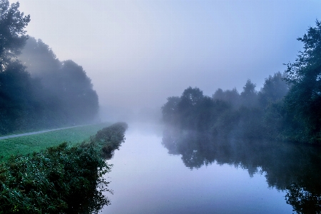 Landschaft baum wasser natur Foto