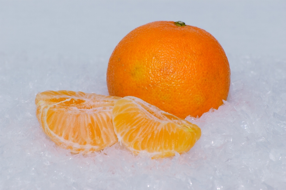 雪 植物 フルーツ 甘い