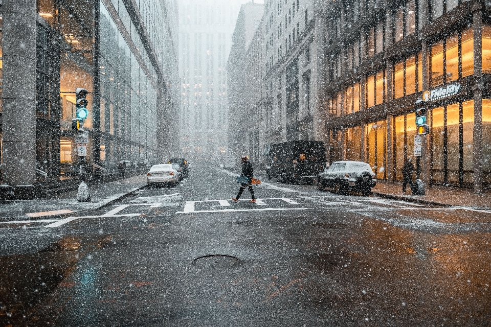 雪 冬天 路 街道