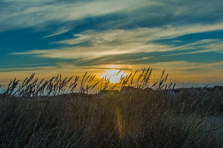 Landschaft meer küste baum Foto