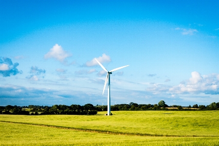 Landscape nature grass horizon Photo