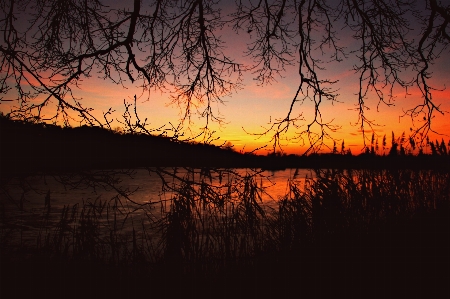 Landscape water nature forest Photo