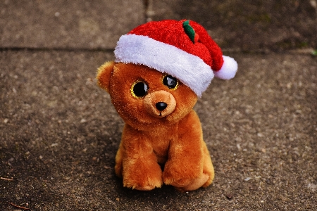 Sweet cute bear christmas Photo