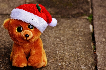 Sweet cute bear christmas Photo