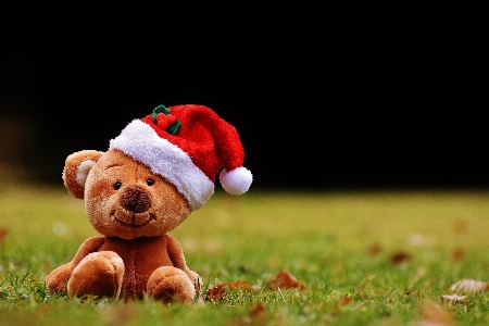 Christmas toy teddy bear santa hat Photo