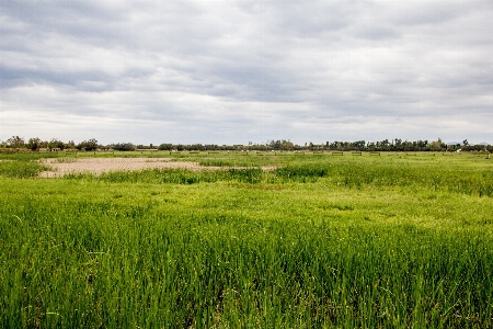 Landscape water nature forest Photo