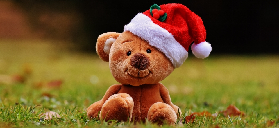 Flower christmas toy teddy bear