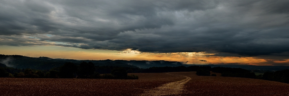 Paysage nature chemin horizon