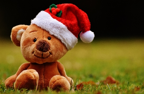 Christmas toy teddy bear santa hat Photo