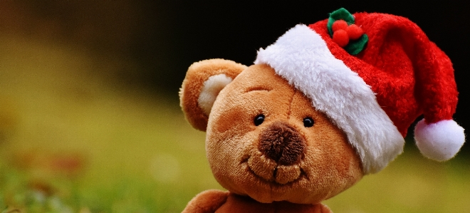 Flower bear christmas toy Photo