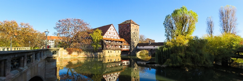 Albero architettura ponte città