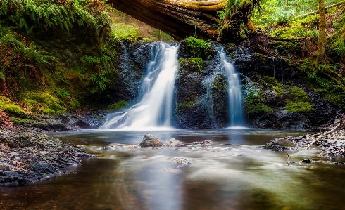 Landscape water nature forest Photo