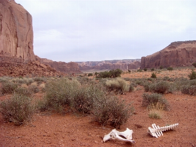 Landscape nature rock wilderness Photo