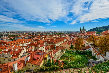 Zdjęcie Krajobraz sylwetka na tle nieba fotografia kwiat