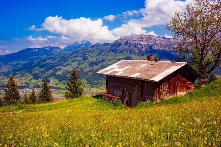 Landschaft natur wald wildnis
 Foto