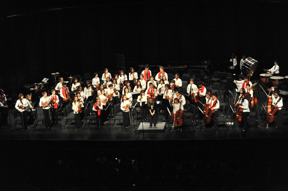 Pessoa música show instrumento