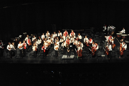 Zdjęcie Osoba muzyka koncert instrument