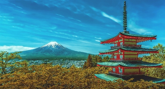 Mountain flower tower volcano Photo