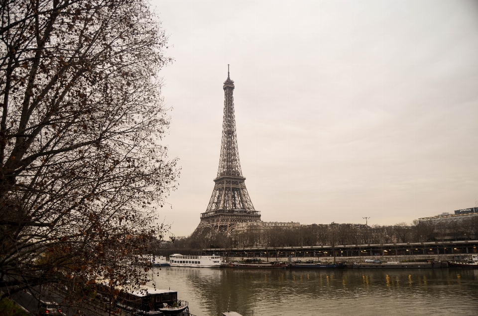 Lanskap pohon menjembatani menara eiffel