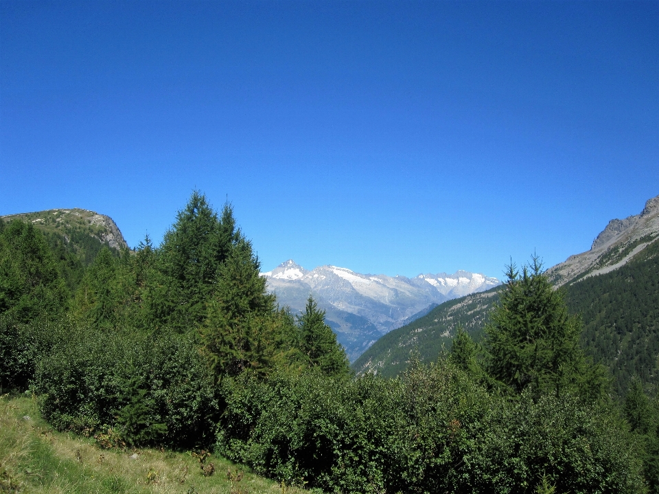 Paysage nature forêt région sauvage
