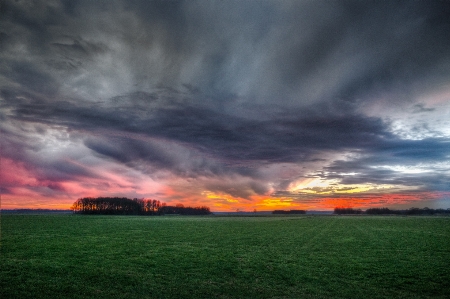 Landscape nature grass horizon Photo