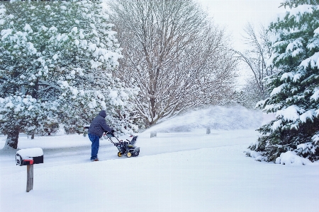 雪 寒い 冬 天気 写真