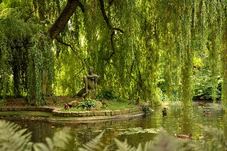 Landscape tree water nature Photo