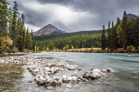 Landscape tree water nature Photo