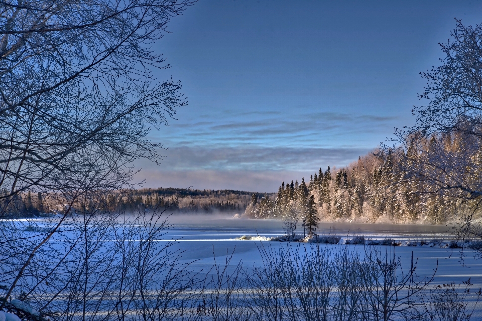 Krajobraz drzewo woda natura