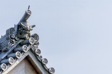 木 自然 建築 秋 写真