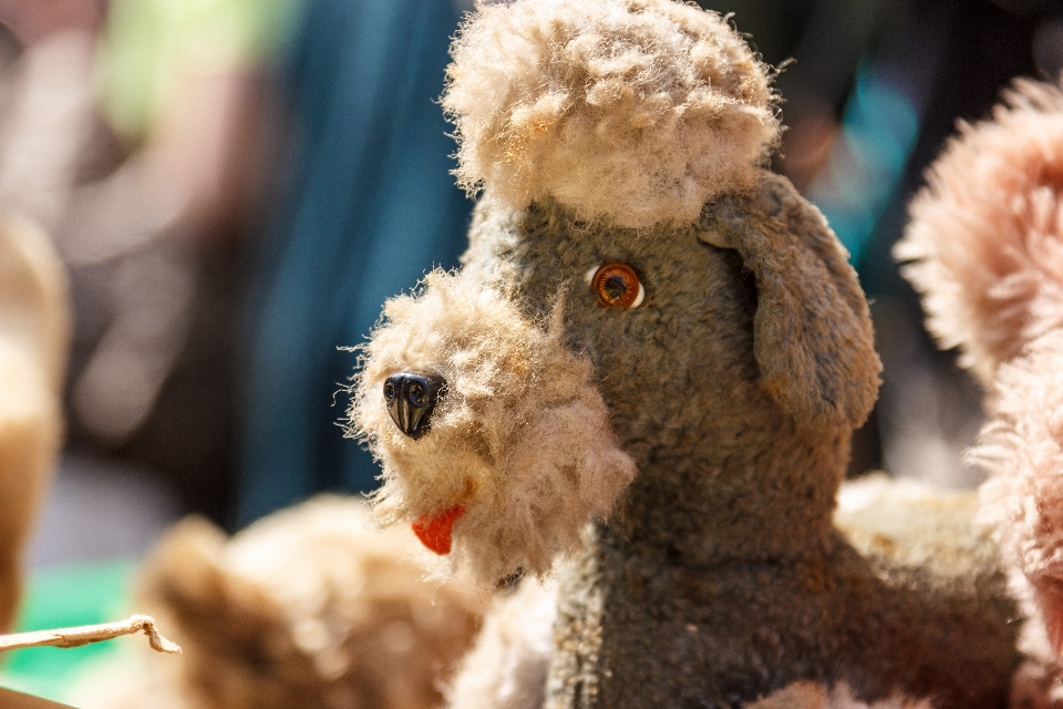 Chien mignon jouet ours en peluche
