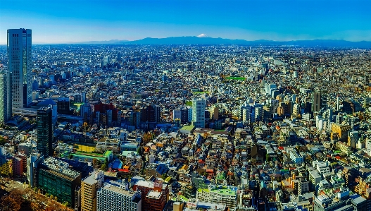 地平線 建築 スカイライン 写真撮影 写真