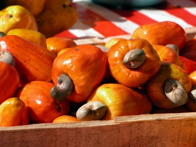 Plant fruit food produce Photo