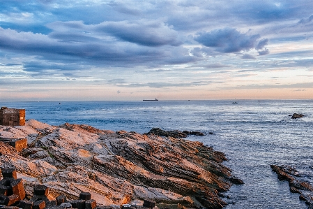 Beach landscape sea coast Photo