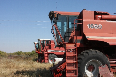 Work tractor field farm Photo