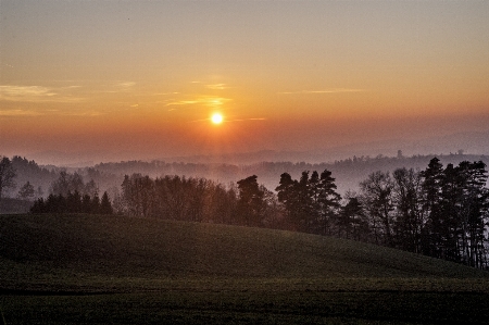 Nature forest horizon mountain Photo