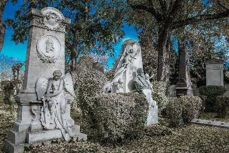 Foto Albero monumento statua cimitero