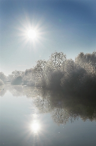 Tree water nature horizon Photo