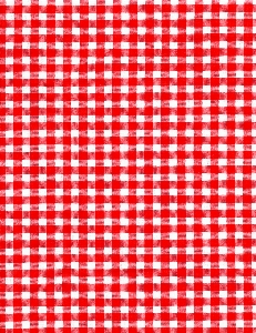 Pattern line red cloth Photo